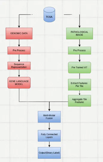 Multimodal Breast Cancer Prognosis Prediction